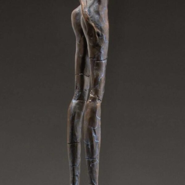 Assessment of Risk by Lorri Acott