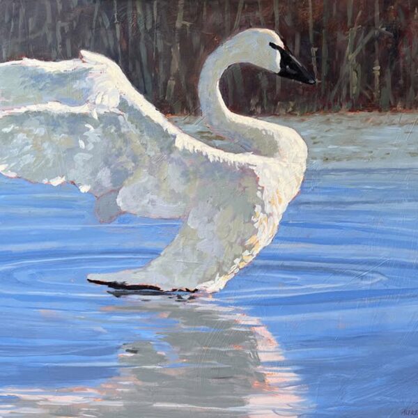 Take Off by Alfred Currier