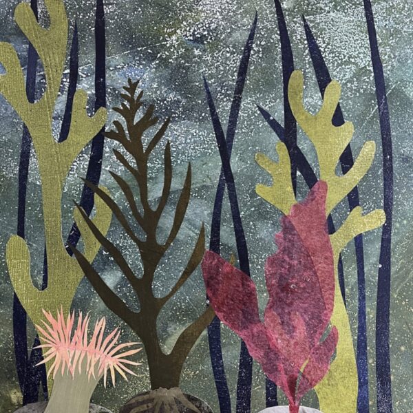 Tidal Dreams by  Amy Ferron