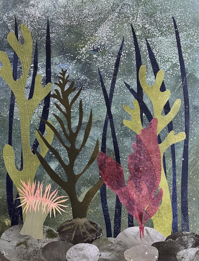 Tidal Dreams by Amy Ferron