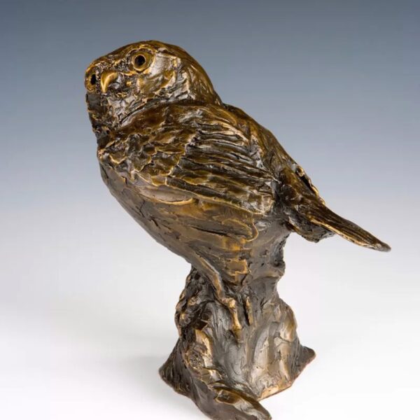 Pygmy Owl by Barbara Duzan