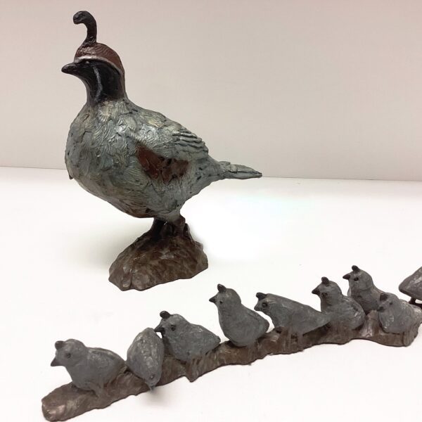 Quail Family by Barbara Duzan