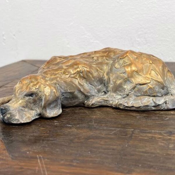 Snoozing Golden by Barbara Duzan