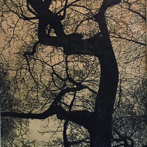 Central Park by Gary Groves