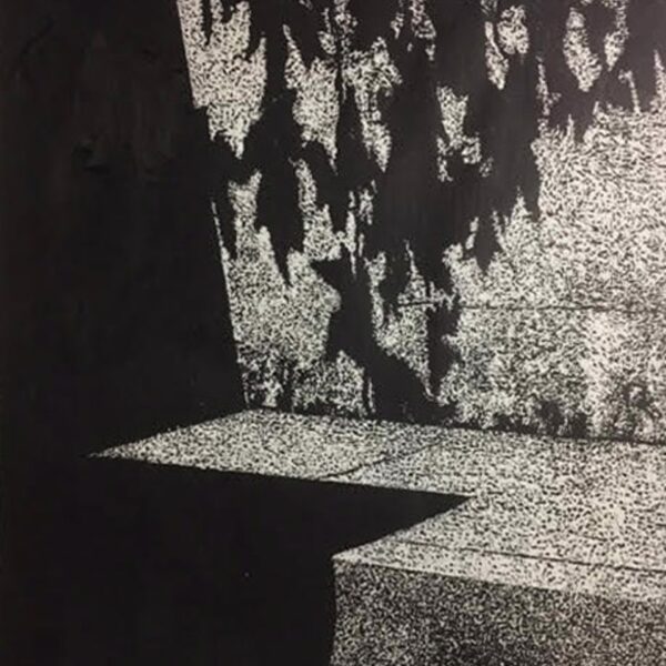 Shadows and Leaves by Gary Groves