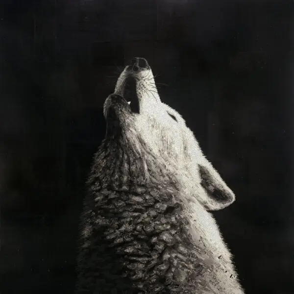 Vitality by Jay Kelly