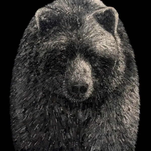 It's In the Detail (/25) by Jay Kelly