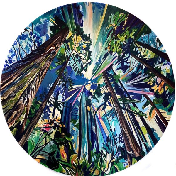 Forest Daybreak by Taralee Guild