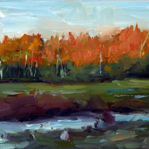 On Fisher Pond by  Pam Ingalls