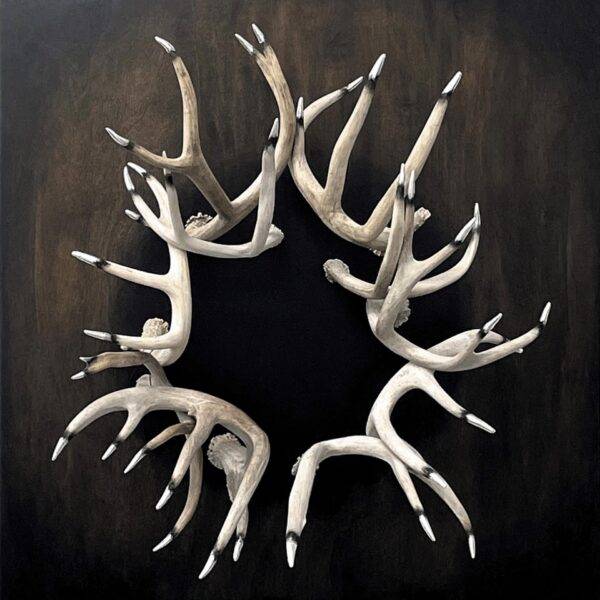 Eclipse by Julie Anne Mann