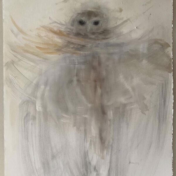 Glimpse | Owl || by Theresa Gray