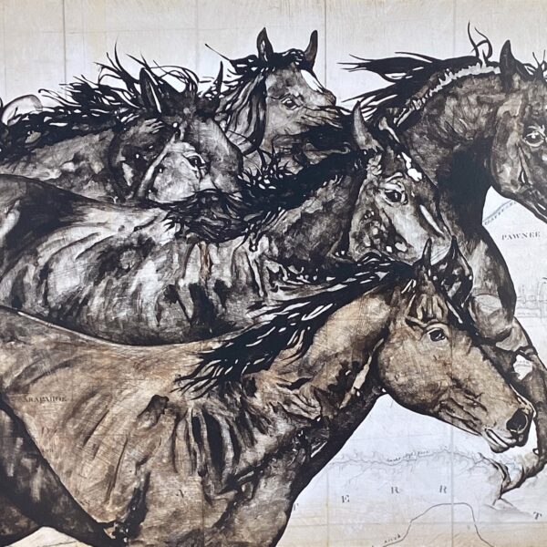 Wild Horses by Will Armstrong