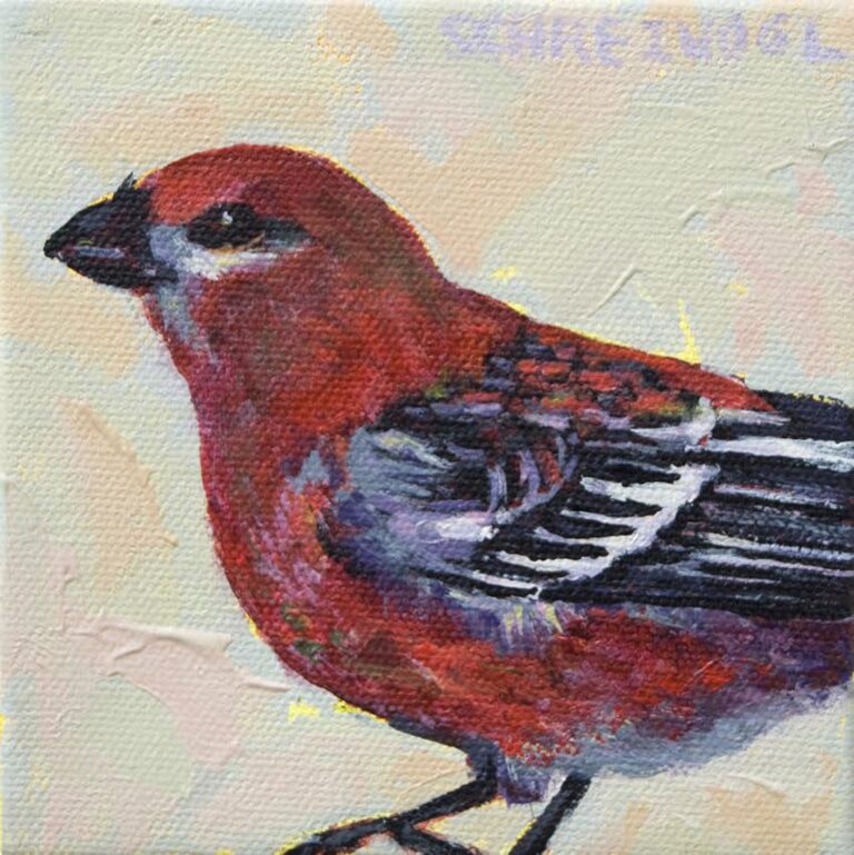 Pine Grosbeak by Anne Schreivogl