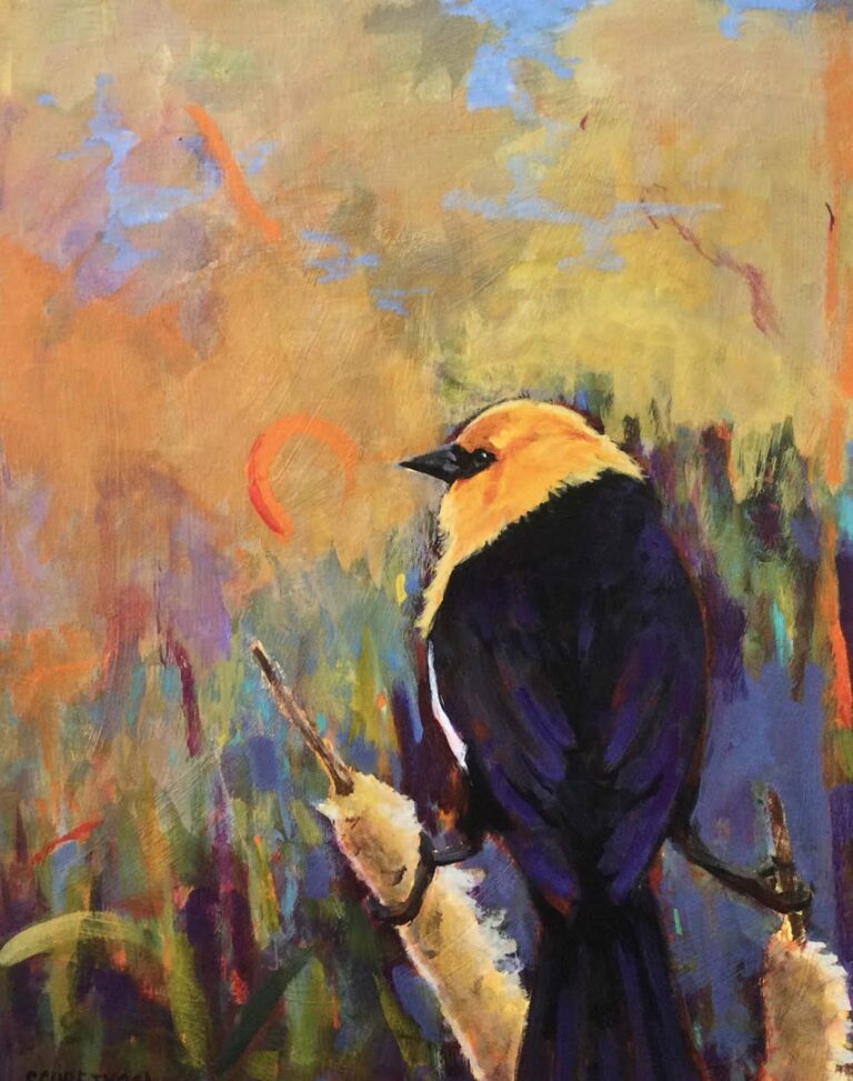 Wetlands by Anne Schreivogl