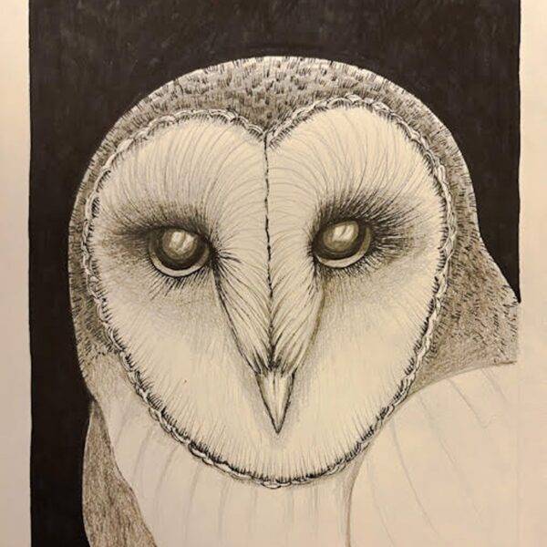 Barn Owl by Fumi Matsumoto