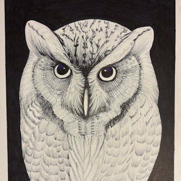 Owl by Fumi Matsumoto