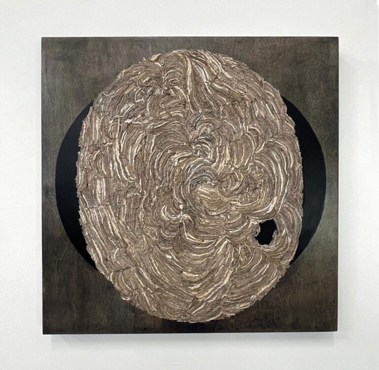 Ellipse by Julie Anne Mann