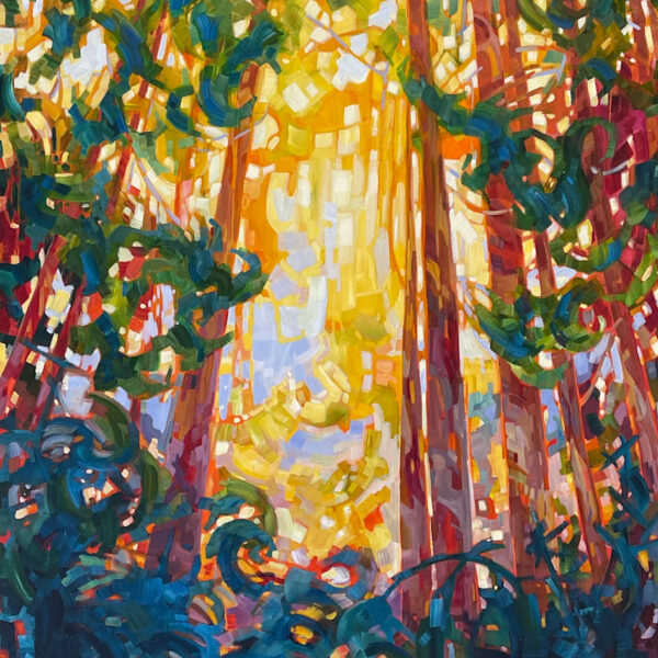Cathedral Grove by Teresa Smith