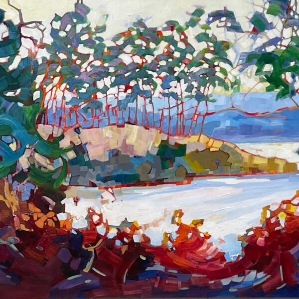 Patos Island by Teresa Smith