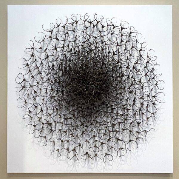 The Devil’s Sun by Julie Anne Mann