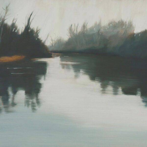Foggy Delta by  Lisa McShane
