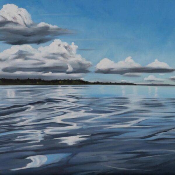 Reflections on The Point by  Lisa McShane