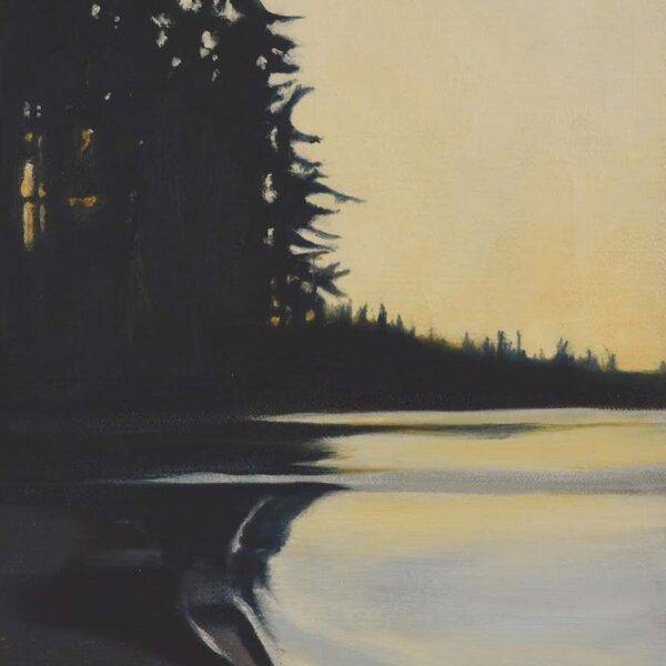 Island Edge by  Lisa McShane