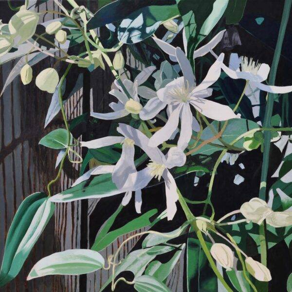 Bigger Blooms by Neal Phillpott