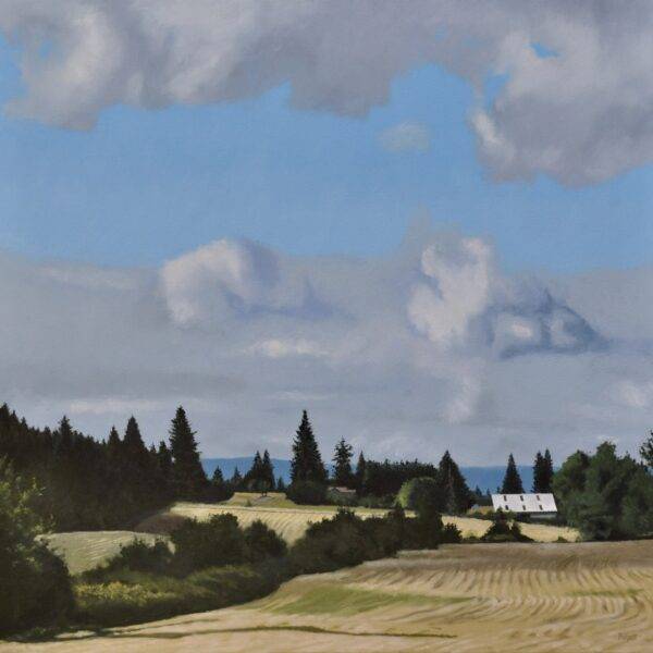 Deep Country by Neal Phillpott