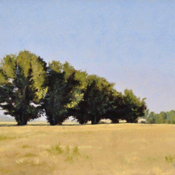 Drive Sentinels by Neal Phillpott