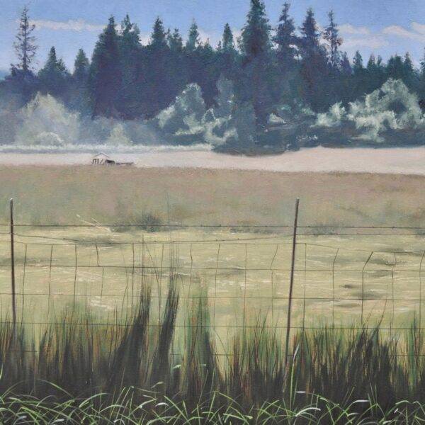 Dust Harvest by Neal Phillpott