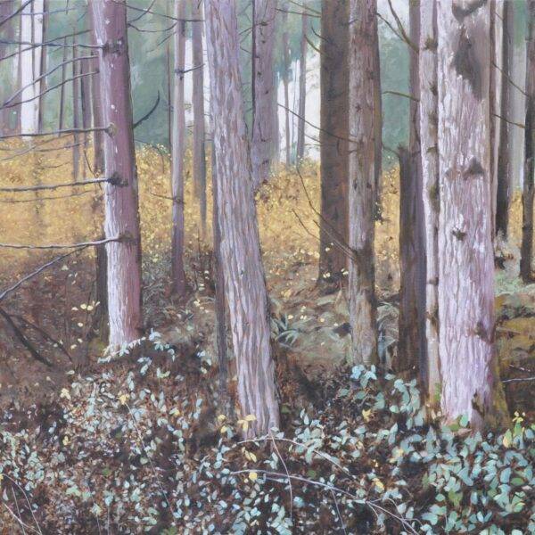 Forested by Neal Phillpott