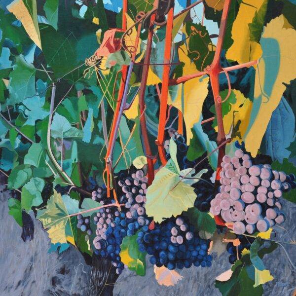 Morning Color by Neal Phillpott