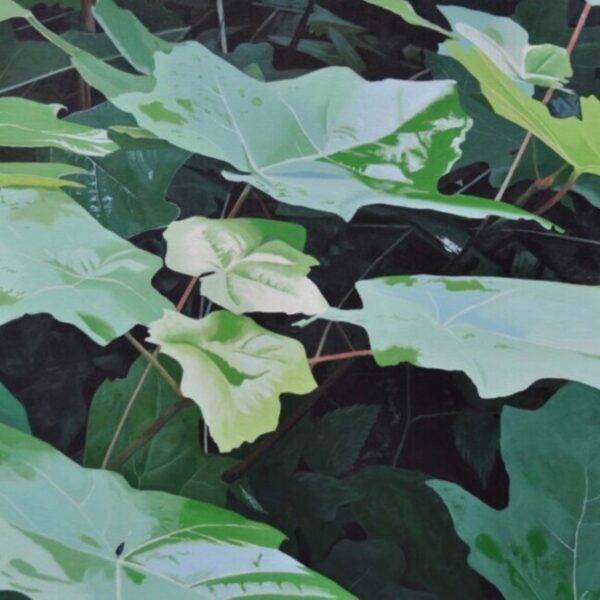 Newly Green by Neal Phillpott