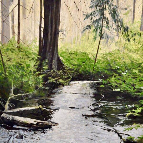 River Solace by Neal Phillpott