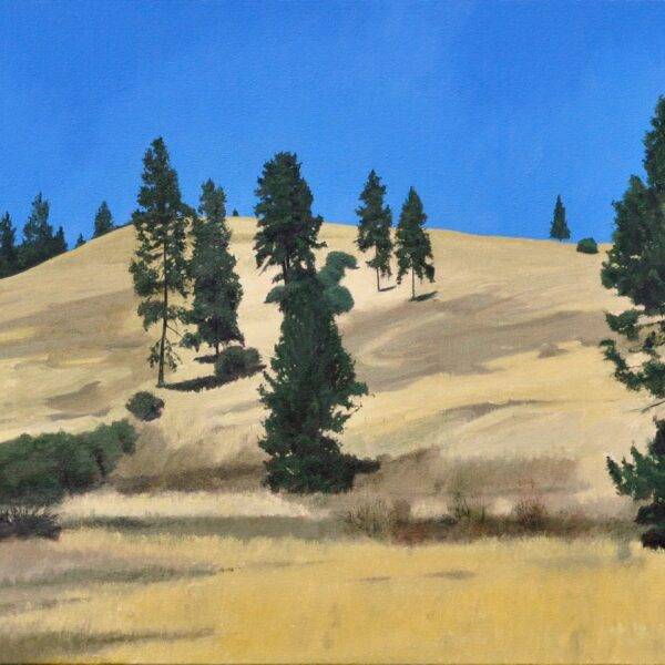 Solid Gold by Neal Phillpott