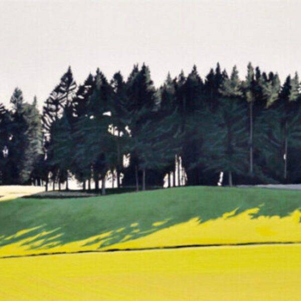 Splayed Shadow by Neal Phillpott