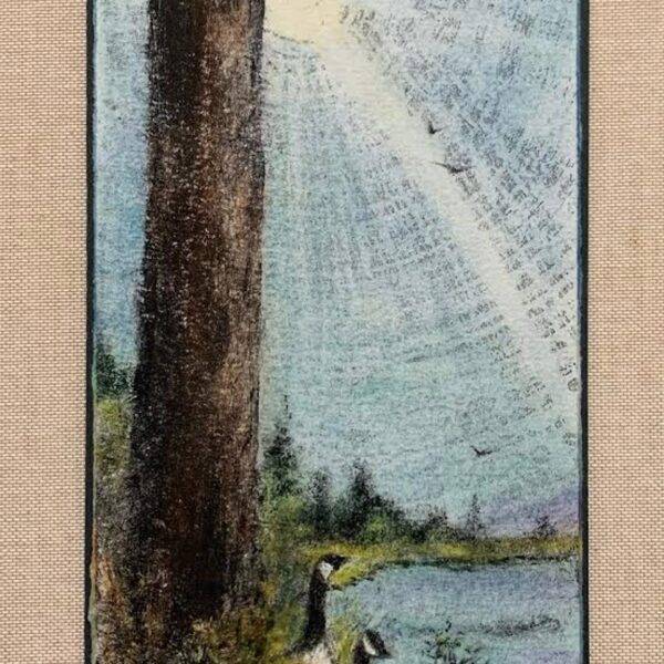 Arrival by Pamela Wachtler