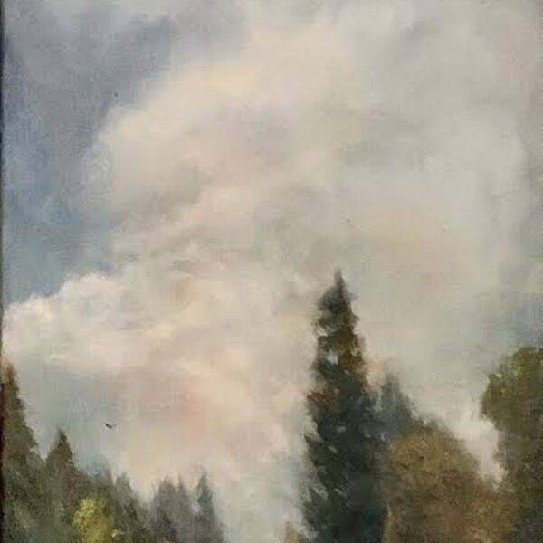 Blue Skies Ahead (Bloedel Reserve) by Pamela Wachtler