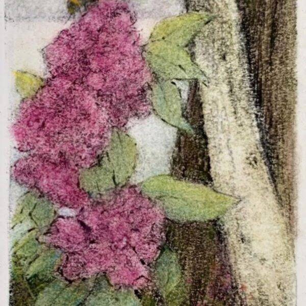 Citizens Of Sweetness by Pamela Wachtler