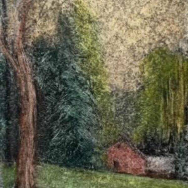 Upon Reflection by Pamela Wachtler