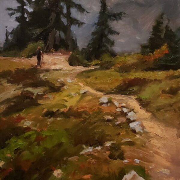 Mount Baker Trail by Robin Paul Weiss