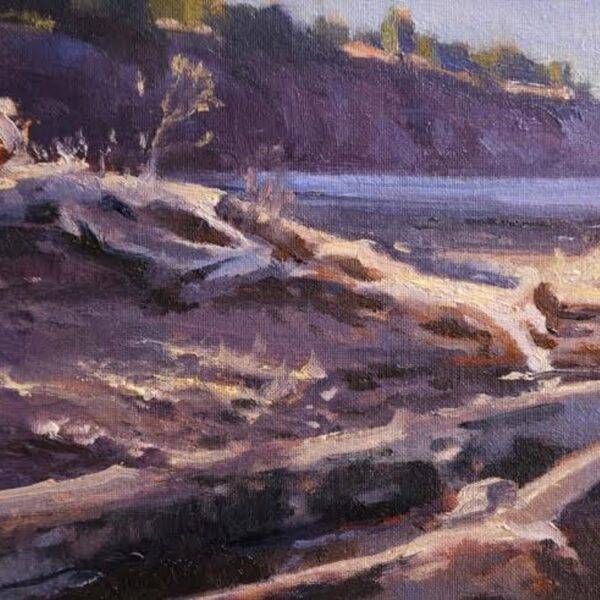 Peninsula Drift by Robin Paul Weiss