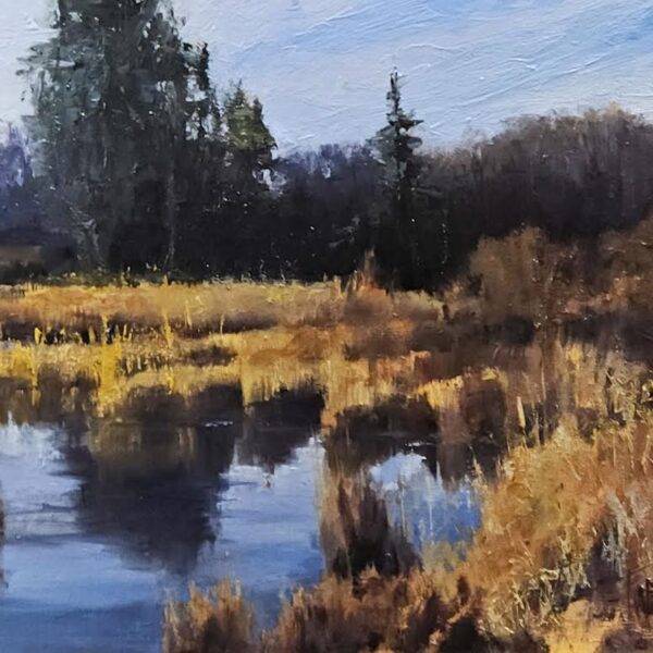 Washington Wetlands by Robin Paul Weiss