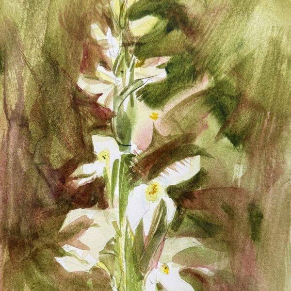 Bog Orchid by Randena Walsh