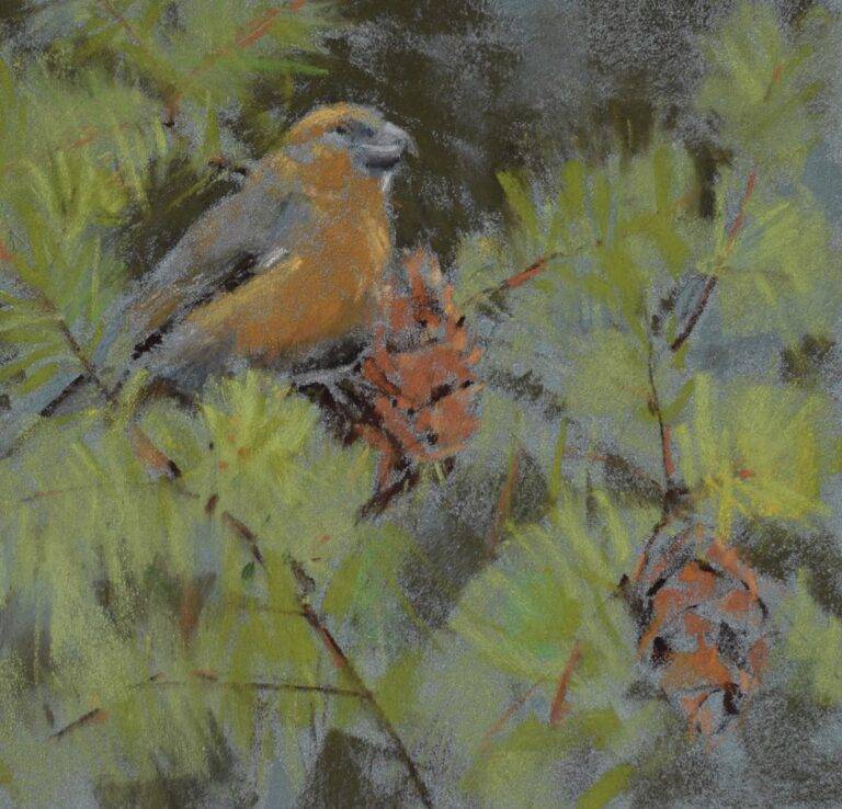 Crossbill, 2023 by Randena Walsh