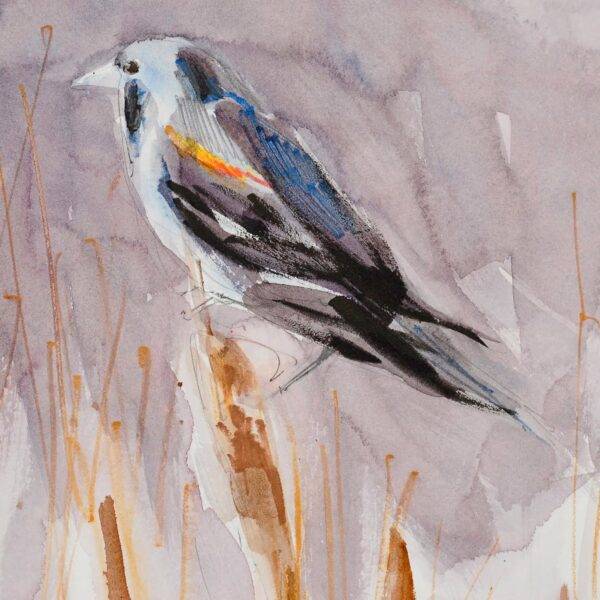 Red Winged Blackbird by Randena Walsh