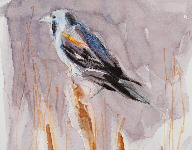 Red Winged Blackbird by Randena Walsh