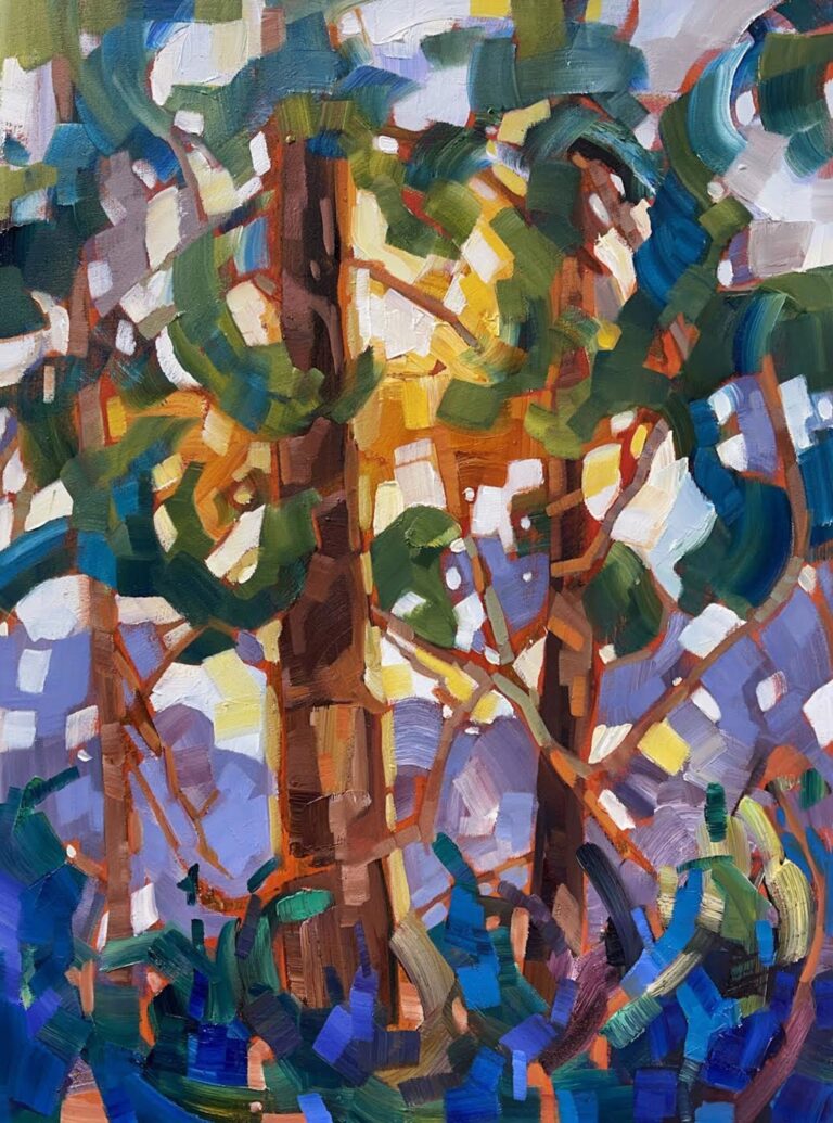 Backlit Firs by Teresa Smith