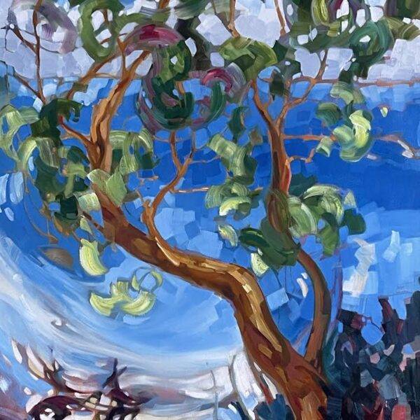 Cliff Side by Teresa Smith